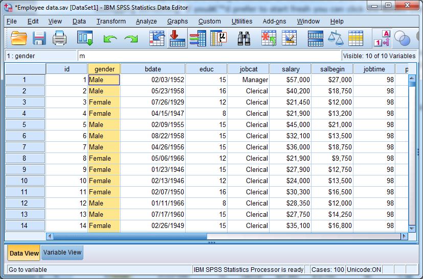 spss-for-the-classroom-the-basics